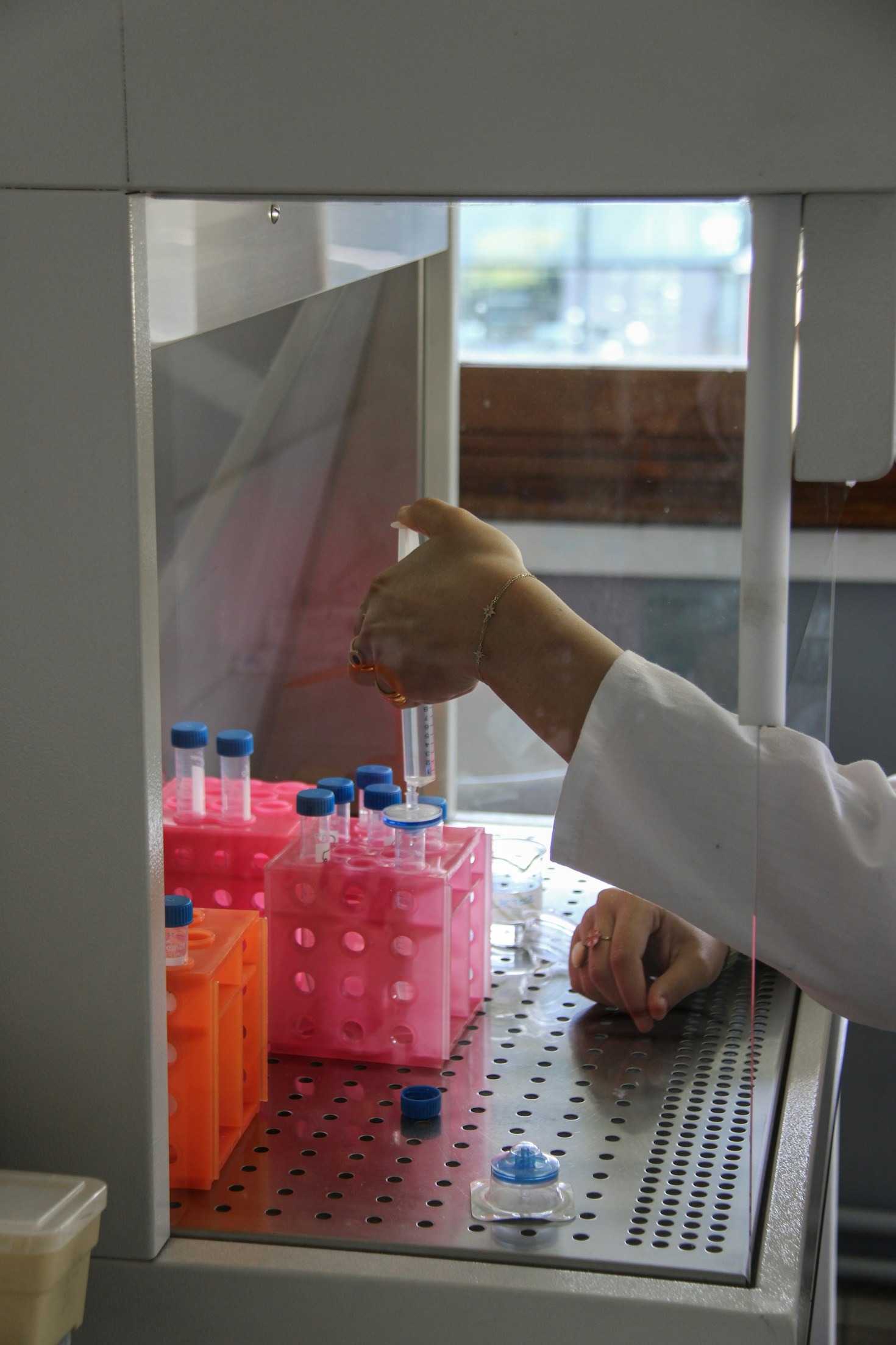 The Role of Enzymes in Biochemical Pathways